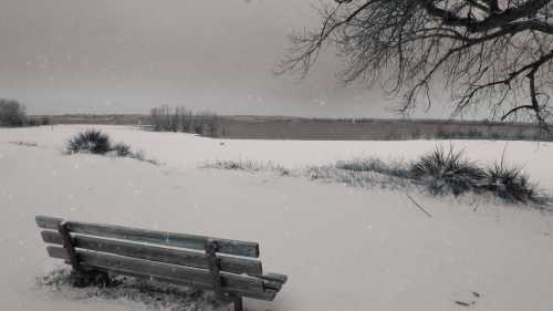 A snowy landscape featuring a wooden bench overlooking a frozen lake, with trees in the background and falling snowflakes.