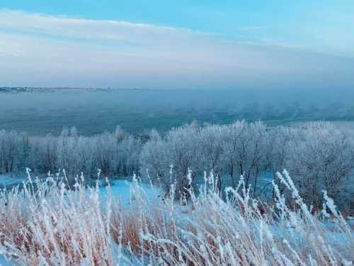 Frost-covered trees and grasses by a misty river under a blue sky, creating a serene winter landscape.