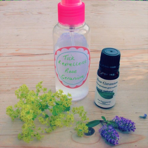 A spray bottle labeled "Tick Repellent Rose Geranium," an essential oil bottle, and fresh herbs on a wooden surface.