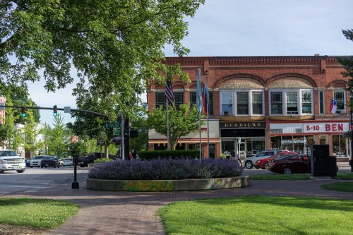 A vibrant town square with a circular flower bed, surrounded by shops and trees, under a clear blue sky.
