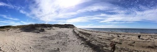 Panoramic view of a sandy beach with dunes, under a bright blue sky with wispy clouds and calm ocean waves.