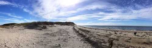 A panoramic view of a sandy beach with dunes, under a bright blue sky with scattered clouds.