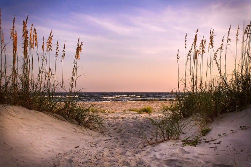 A sandy path leads to the ocean, framed by tall grass under a colorful sky at sunset.