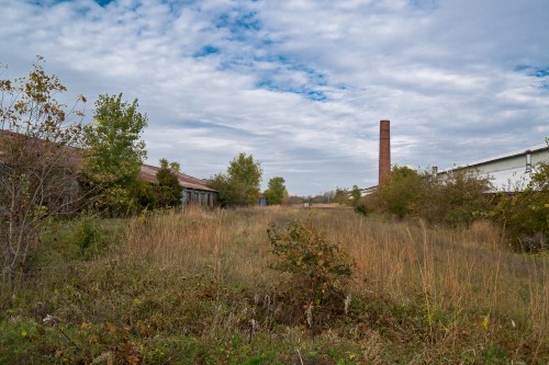 Overgrown field with tall grass, abandoned buildings, and a brick chimney under a cloudy sky.