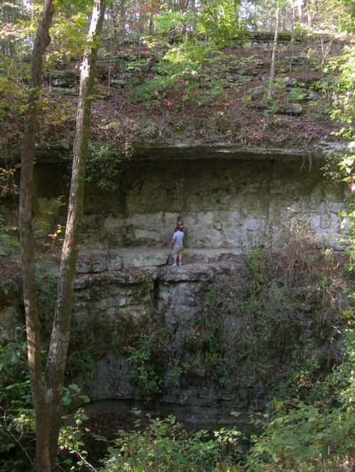 A person stands on a rocky ledge surrounded by trees and greenery in a natural landscape.