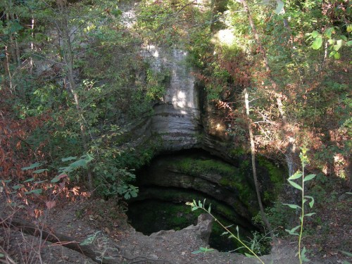 A deep, moss-covered sinkhole surrounded by trees and foliage, with sunlight filtering through the leaves.