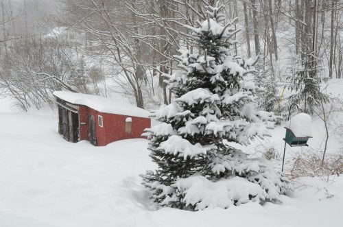 A snowy landscape featuring a red shed, a snow-covered evergreen tree, and a bird feeder in a winter setting.