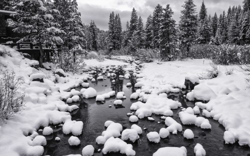 A snowy landscape with a stream surrounded by snow-covered rocks and evergreen trees under a cloudy sky.