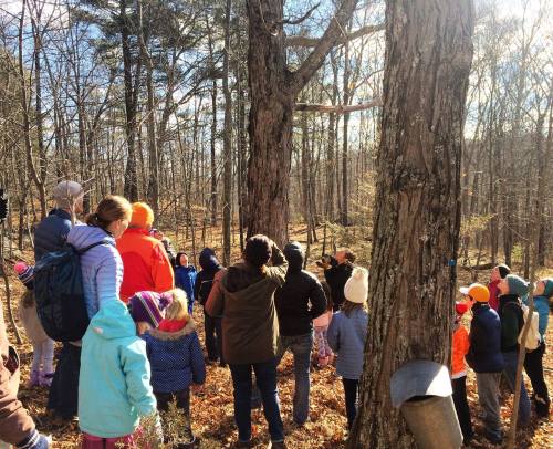 A group of children and adults gather in a wooded area, listening to a speaker near a tree on a sunny day.