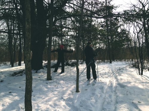 Two people skiing in a snowy forest, surrounded by trees, with one person stretching their arms out.