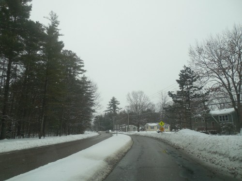 A snowy road curves through a winter landscape, lined with trees and houses under a gray sky.