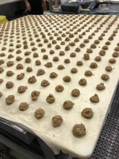 A large table covered with rows of small, round dollops of dough arranged neatly on a flat surface.