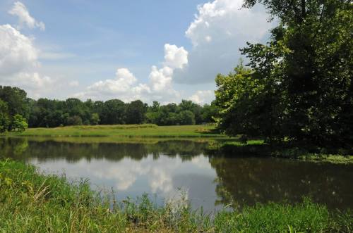 A serene landscape featuring a calm pond reflecting fluffy clouds and green trees under a bright blue sky.