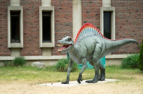 A life-sized Spinosaurus dinosaur statue stands on a grassy area in front of a brick building.
