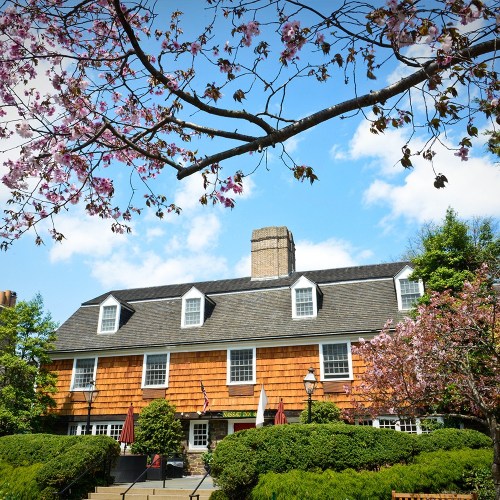 A charming wooden building with a shingled facade, surrounded by blooming cherry trees and a blue sky.