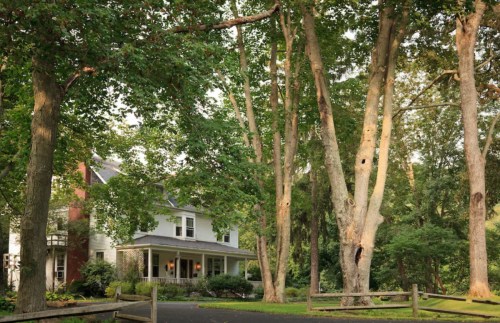 A charming white house surrounded by tall trees and greenery, with a gravel path leading to the entrance.
