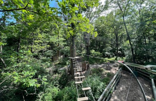 A treetop adventure course with wooden platforms and rope bridges surrounded by lush green trees.