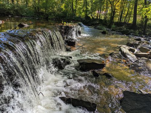A serene waterfall cascades over rocks into a clear stream, surrounded by lush green trees in a peaceful forest setting.