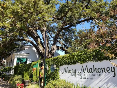 A historic building, Mary Mahoney's Old French House, surrounded by lush greenery and a large tree under a clear blue sky.