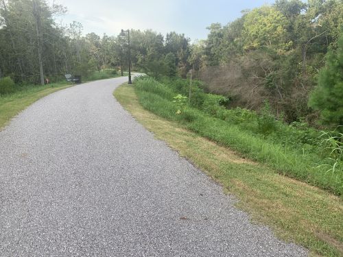 A winding path beside a lush green area, with a bench and trees lining the way.