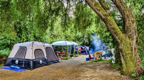 A campsite with two tents, a canopy, and a small fire surrounded by trees and greenery.