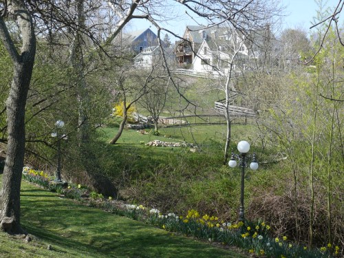 A serene landscape featuring a grassy area with blooming flowers, trees, and a house in the background.