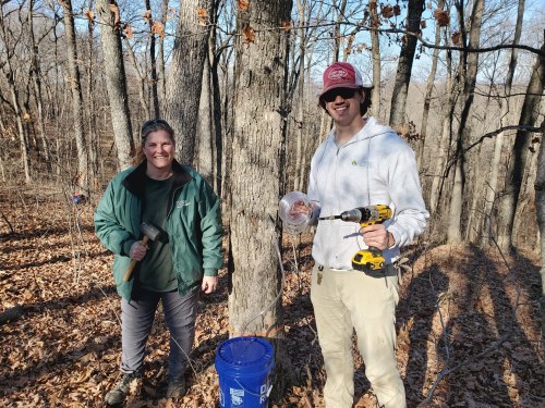 Two people in a wooded area, one holding a hammer and the other a drill, with a bucket on the ground nearby.