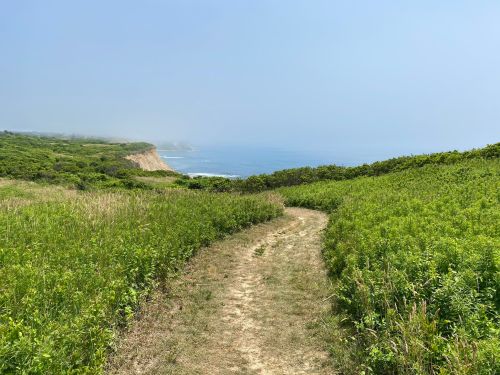 A winding path through lush greenery leads to a misty coastline and ocean in the distance.