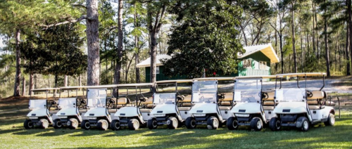 A row of white golf carts parked on green grass, with trees and a cabin in the background.