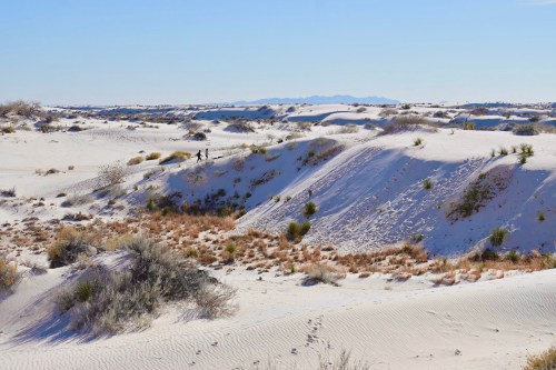 A vast desert landscape with white sand dunes, sparse vegetation, and distant mountains under a clear blue sky.