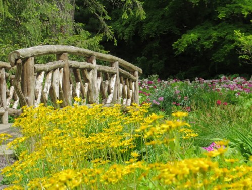 A wooden bridge surrounded by vibrant flowers in a lush garden setting.