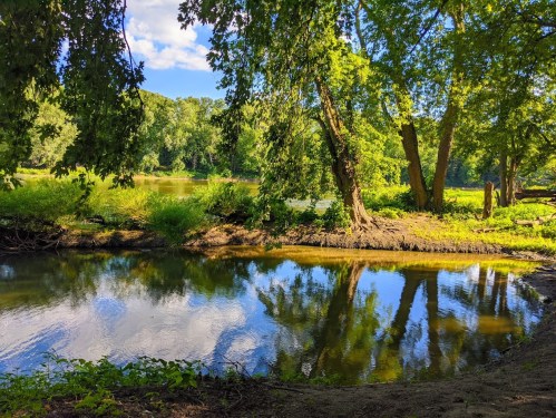 A serene river scene with lush green trees reflecting in the water under a bright blue sky.