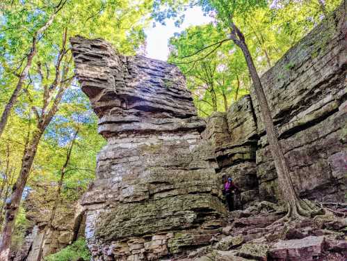 A person stands beside a tall rock formation surrounded by lush green trees in a forested area.