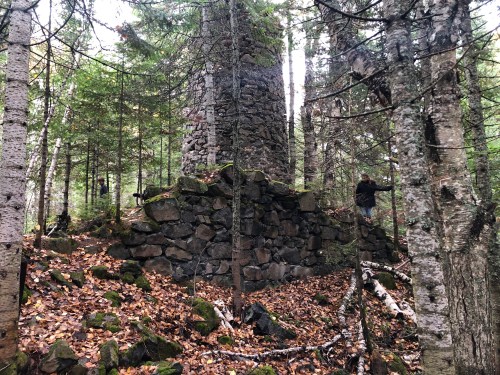 A stone structure partially covered by leaves and surrounded by tall trees in a forest setting.