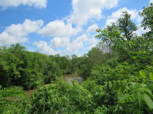 A serene river flows through lush green trees under a bright blue sky with fluffy white clouds.