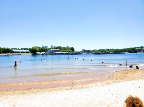 A sunny beach scene with people swimming in a calm lake, surrounded by trees and buildings in the background.