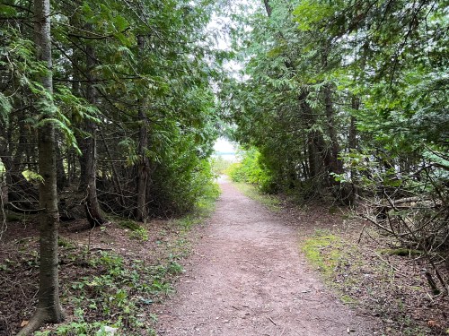 A narrow dirt path leads through dense greenery, opening to a bright area in the distance.