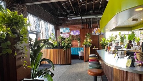 A vibrant café interior with colorful seating, lush plants, and modern lighting, featuring a curved bar and wooden accents.