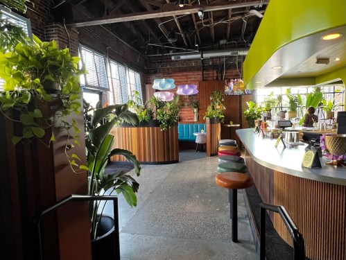 A modern café interior with vibrant green accents, plants, and colorful seating in a bright, open space.