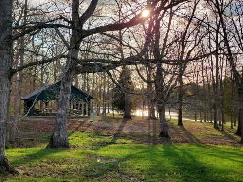 A serene park scene with a gazebo, bare trees, and sunlight filtering through, casting shadows on the green grass.