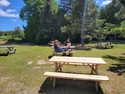 Two people relax at picnic tables in a sunny outdoor setting surrounded by trees.