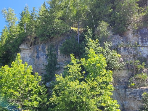 Lush green trees at the base of a rocky cliff under a clear blue sky.