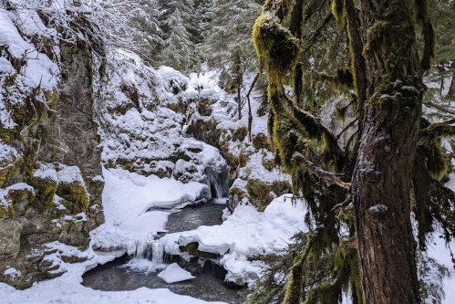 A snowy landscape featuring a small waterfall surrounded by trees and moss-covered rocks.