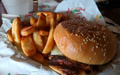 A sesame seed bun sandwich with grilled chicken and melted cheese, served with seasoned potato wedges on the side.