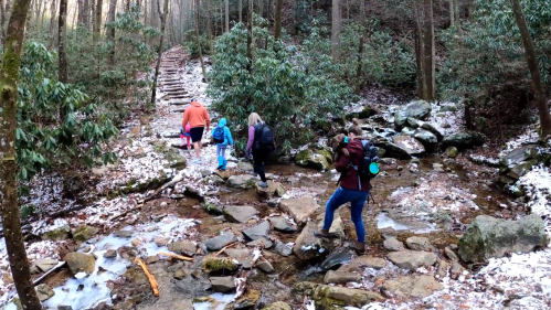 A group of hikers navigates a rocky trail with snow and leaves, surrounded by trees in a forested area.