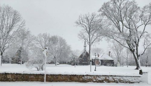 A snowy landscape featuring bare trees and a quaint building in the background, blanketed in fresh snow.
