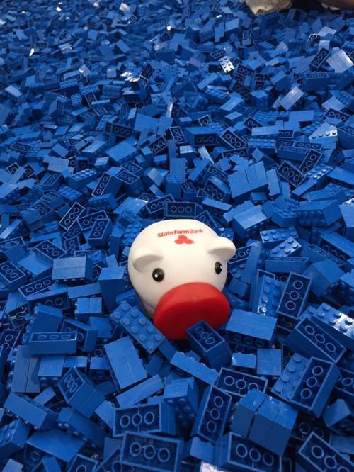 A white piggy bank with a red snout sits among a sea of blue LEGO bricks.