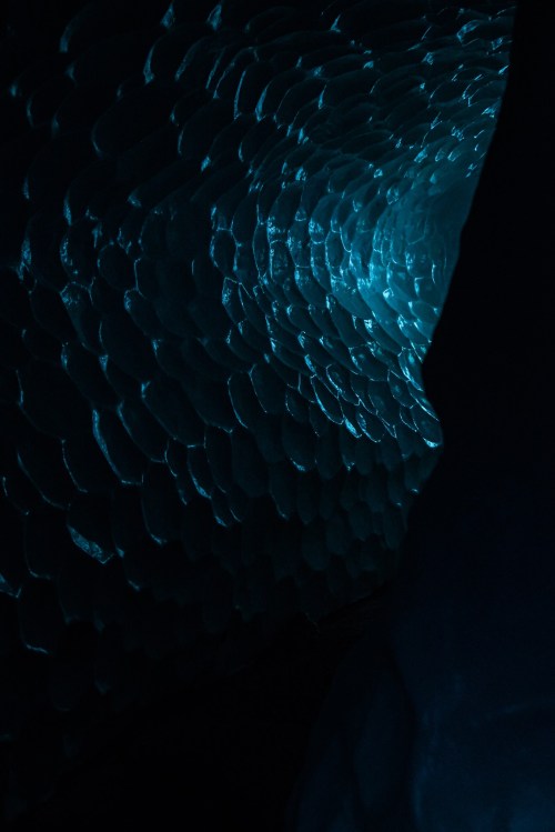 A close-up view of an icy cave, featuring textured blue ice and soft light illuminating the interior.