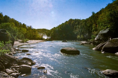A serene river flows through a lush landscape, surrounded by trees and large rocks under a clear blue sky.