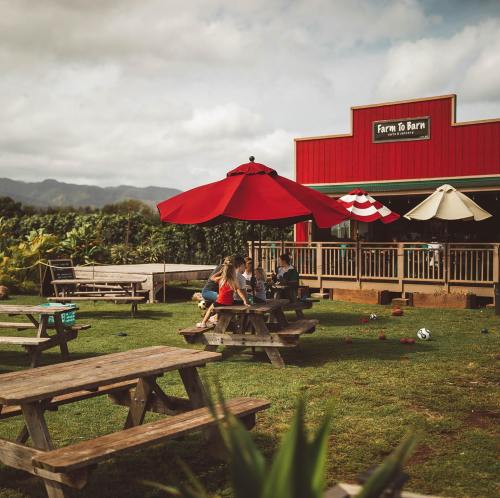 A vibrant outdoor café with red umbrellas, picnic tables, and children playing on the grass, set against a scenic backdrop.